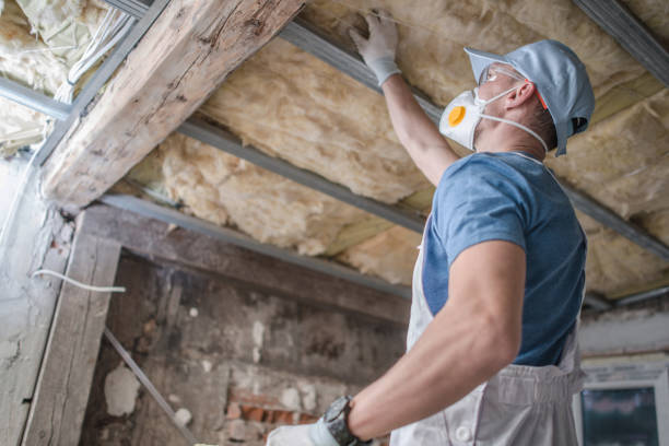 Types of Insulation We Offer in Salina, UT