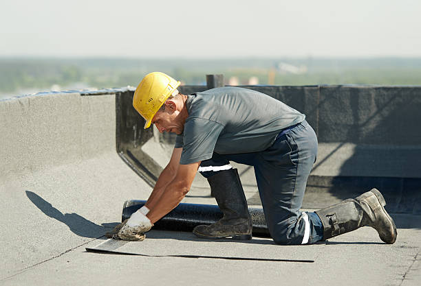 Best Eco-Friendly Insulation in Salina, UT