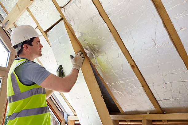 Best Cellulose Insulation in Salina, UT